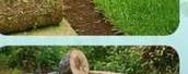 Lawn installation