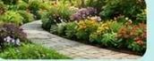 Garden makeover